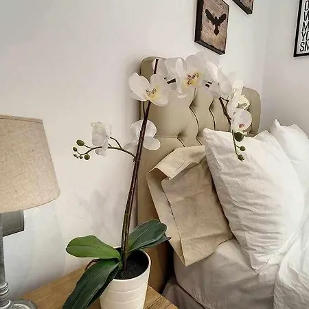 Apartment Penthouse Walking Distance Beach San Pedro Alcantara *
