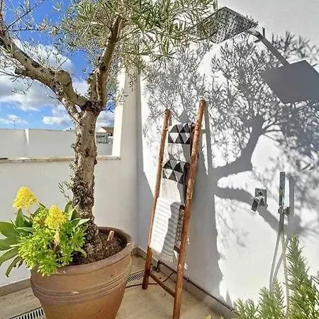 Apartment Penthouse Walking Distance Beach San Pedro Alcantara